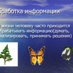 Изображение из альбома 