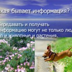 Изображение из альбома 